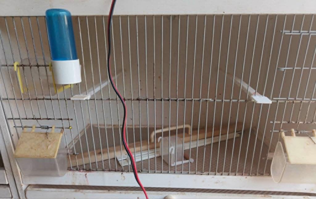 te koop, Dieren en Toebehoren, Ophalen, Gebruikt, Hout, Broedkooi of Kweekkooi