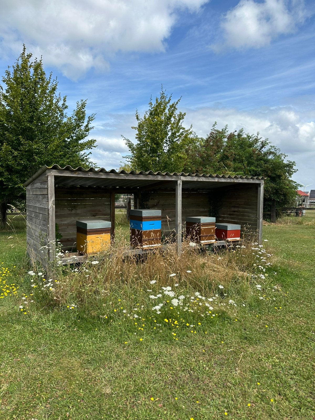 Ruches Dadant et colonies, Enlèvement, Utilisé