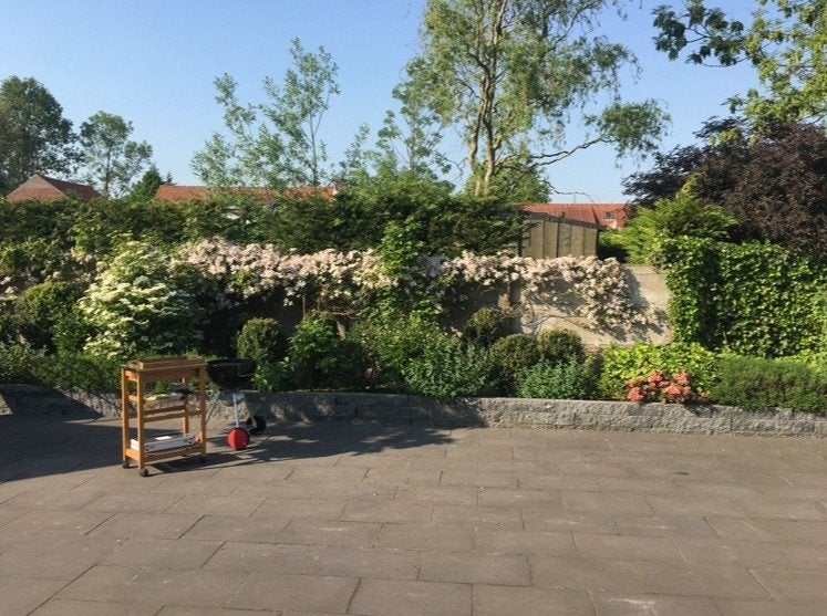 gratis terrastegels, Ophalen, Gebruikt, 10 m² of meer, Beton