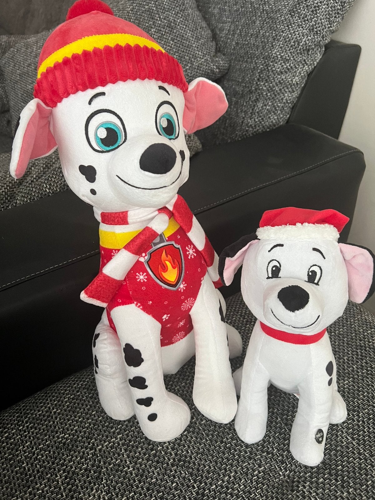 Dalmatier beer 2 honden, Ophalen of Verzenden, Zo goed als nieuw, Beer