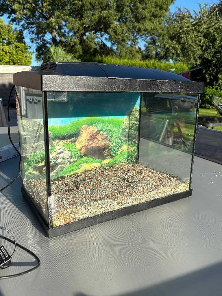 Aquarium, Animaux & Accessoires, Enlèvement, Couvercle inclus, Comme neuf, Superfish