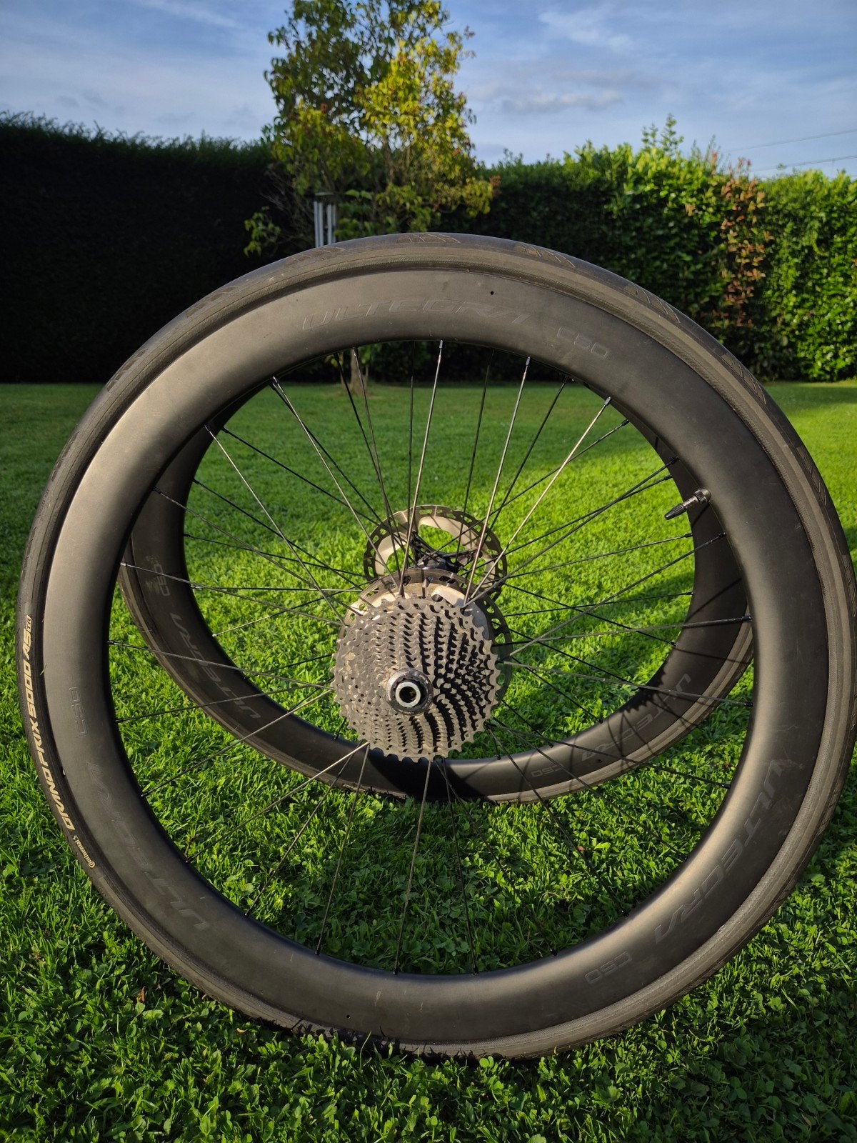 Roue shimano ultegra C50, Vélos & Vélomoteurs, Enlèvement, Roue, Carbone
