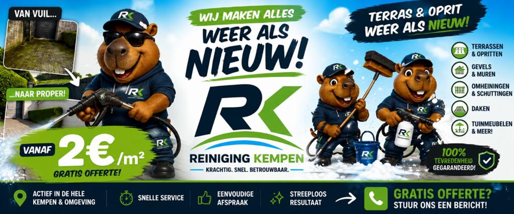 Oprit/ terras schoonmaken, Ophalen