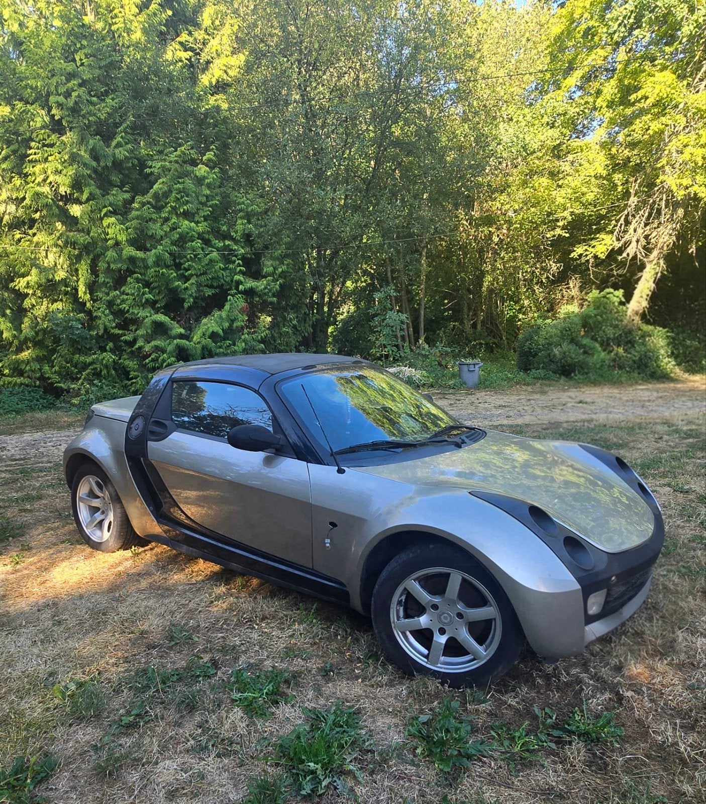 Smart Roadster Cabriolet, Auto's, Cabriolet, Roadster, Particulier, Te koop