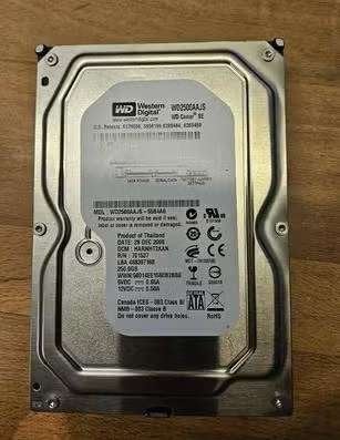 Western Digital Caviar 250GB SATA, Computers en Software, Harde schijven, Intern, Gebruikt, SATA, Ophalen of Verzenden