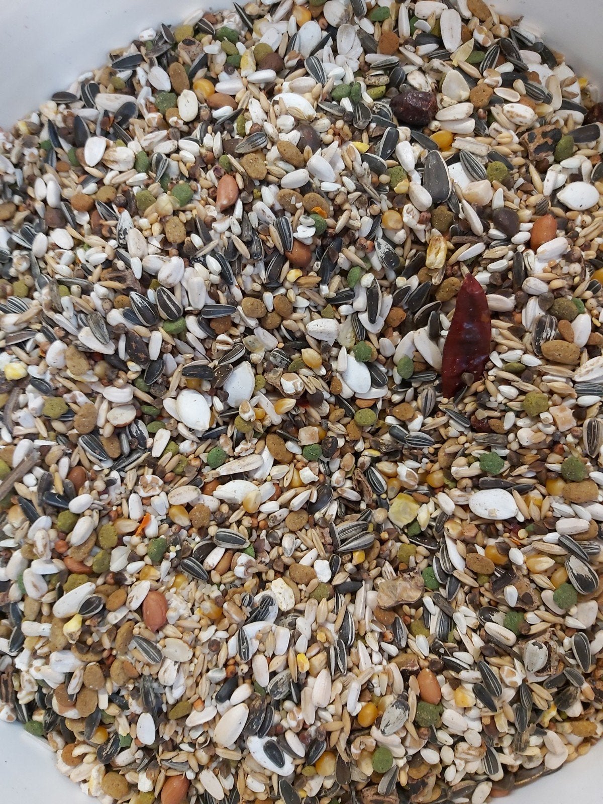 Papegaaienzaden, Dieren en Toebehoren, Insecten en Spinnen