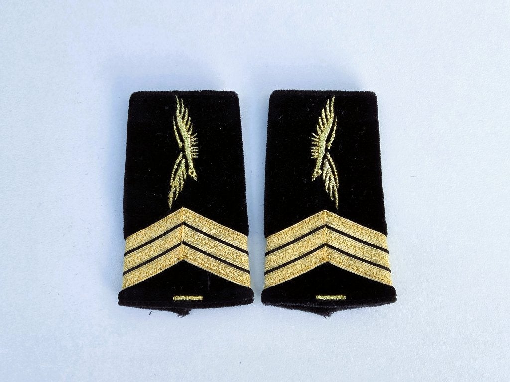 fourreaux épaulettes Armée de l'Air., Collections, Objets militaires | Général, Enlèvement ou Envoi