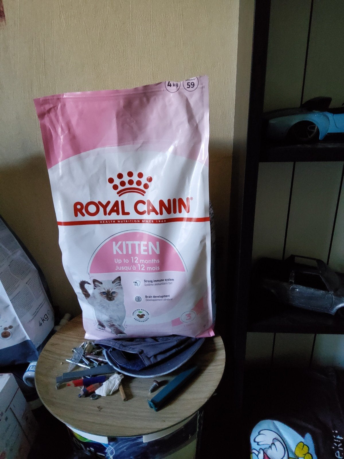 croquette chat, Enlèvement, Chat
