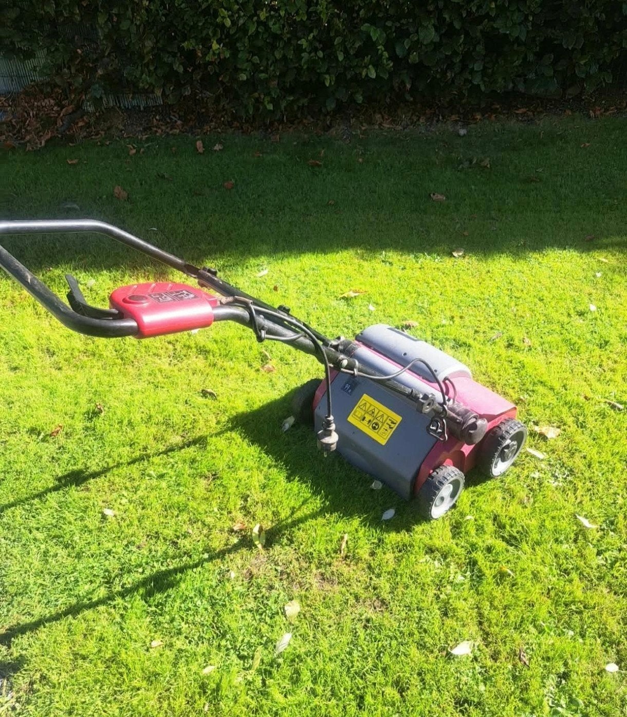 Einhell RG-ES 1433 Verticuteermachine, Ophalen, Einhell