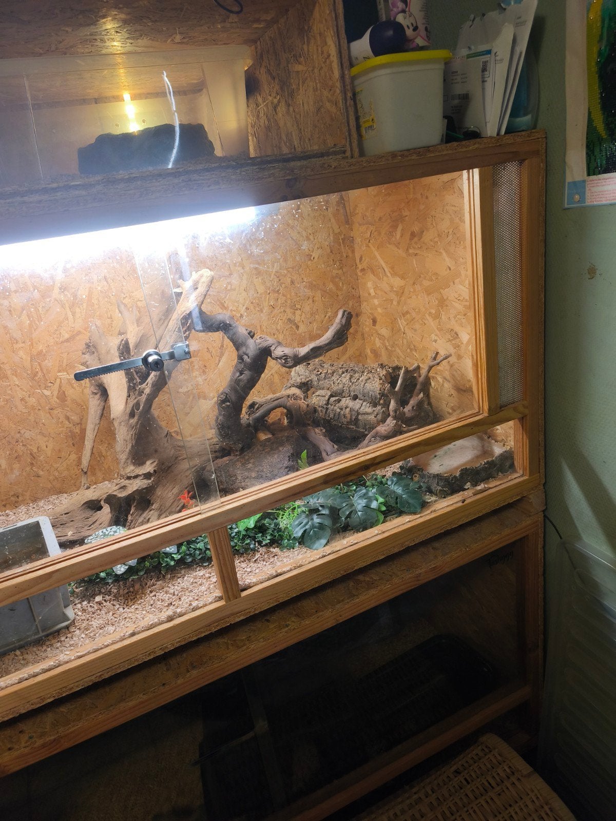 double terrarium osb 2x 120-60-60, Dieren en Toebehoren, Ophalen, Gebruikt, Terrarium of Paludarium