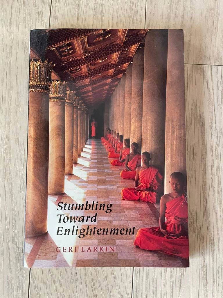 Livre « Trébucher vers l'illumination », Livres, Ésotérisme & Spiritualité, Enlèvement ou Envoi, Méditation ou Yoga, Comme neuf