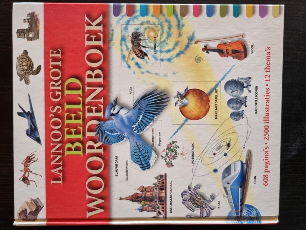 Lannoo's grote beeldwoordenboek, Ophalen of Verzenden, Zo goed als nieuw