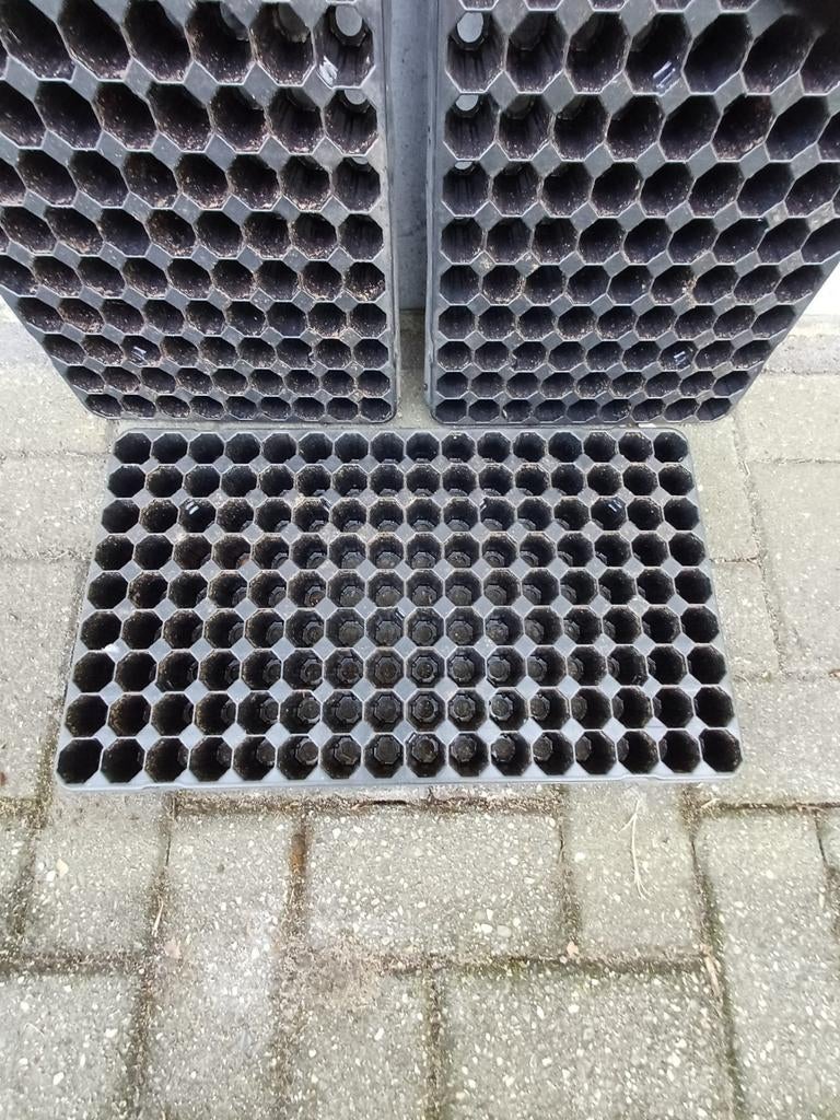 Zaaitrays zaaibak, Ophalen