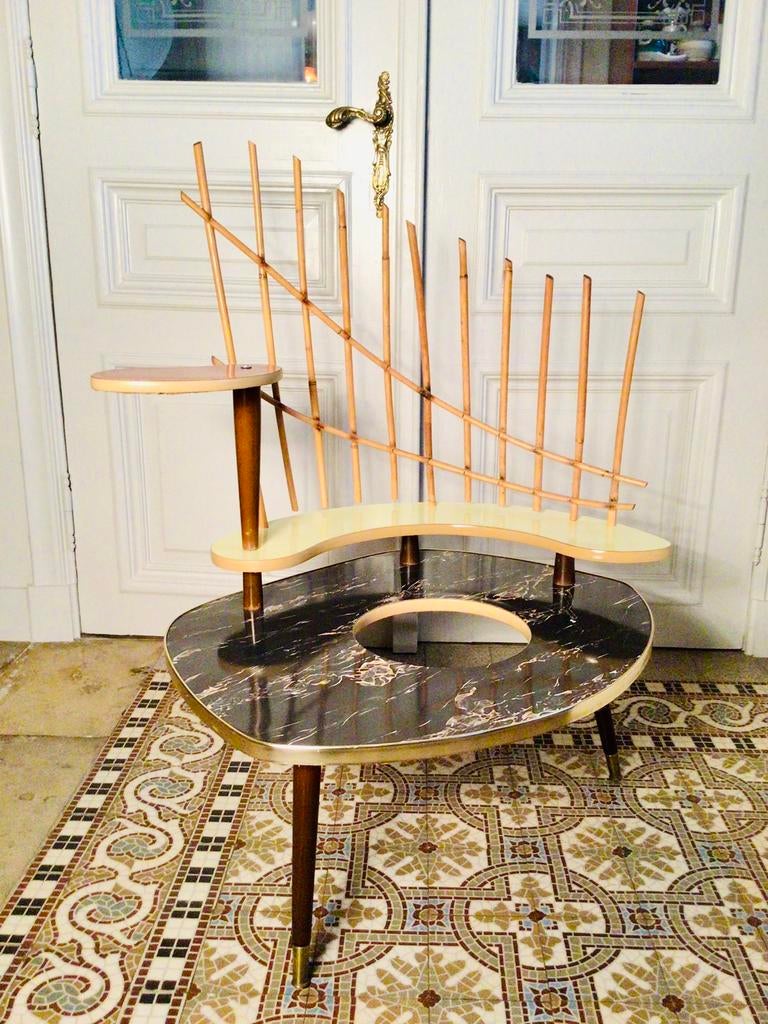Prachtige vintage plantentafel, Enlèvement ou Envoi, Comme neuf