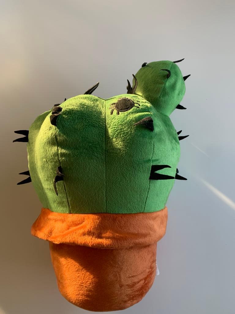 Cactus knuffel, Ophalen, Gebruikt, Overige typen