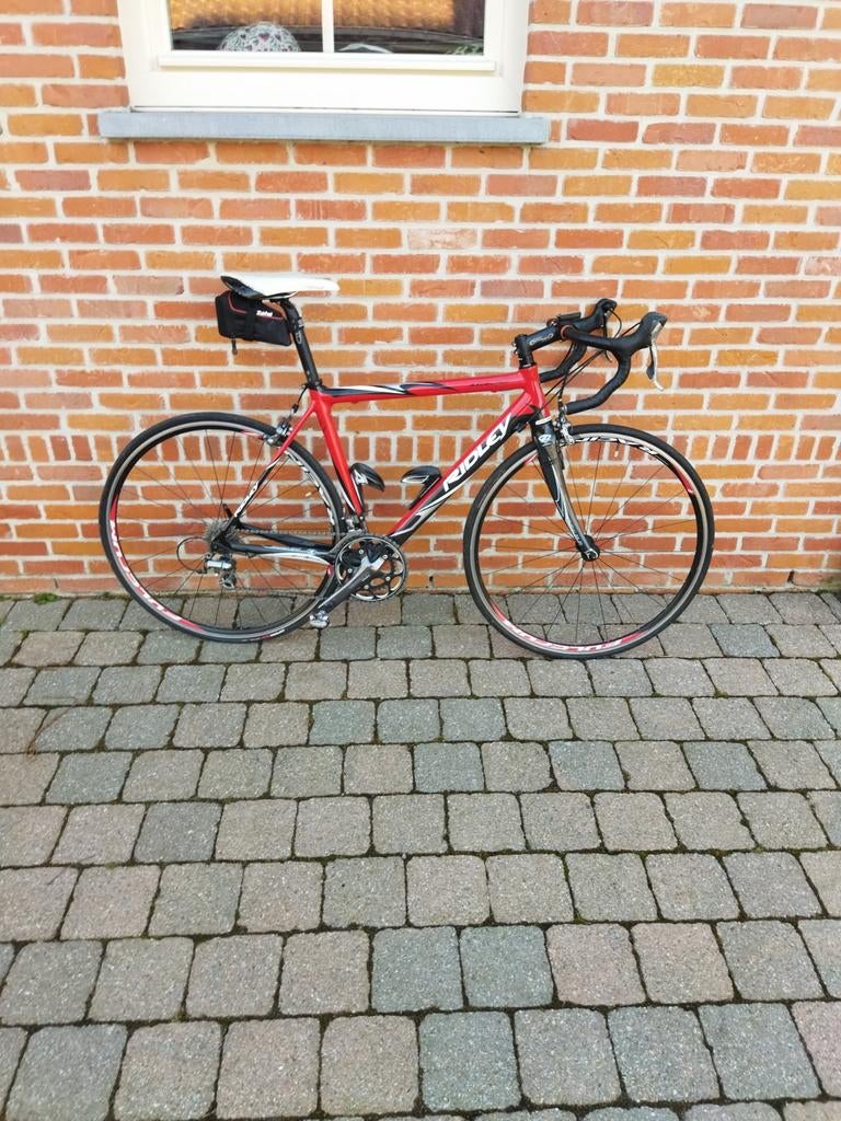 Ridley Excalibur, Enlèvement, Ridley