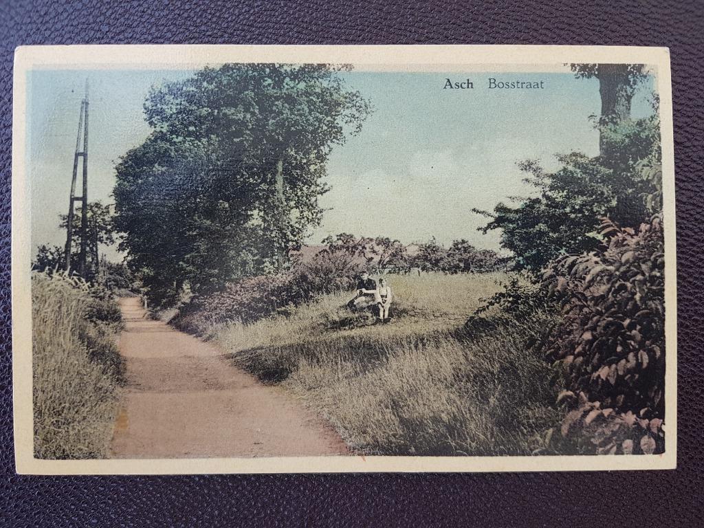 Postkaart Asch As Bosstraat, Ophalen of Verzenden, 1940 tot 1960, Ongelopen, Limburg