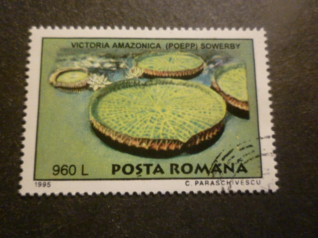 Roemenië/Roumanie 1995 Mi 5133(o) Gestempeld/Oblitéré, Envoi
