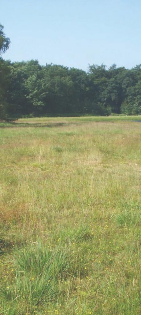 Grasland - Weiland gezocht, Enlèvement