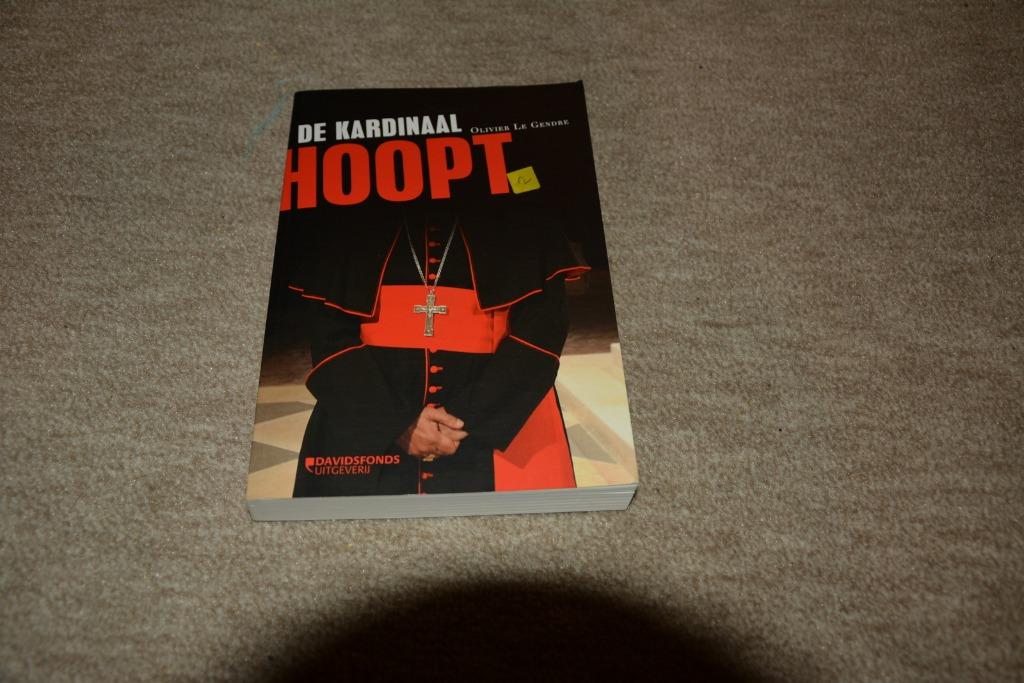 De kardinaal hoopt, Boeken, Ophalen of Verzenden, Gelezen