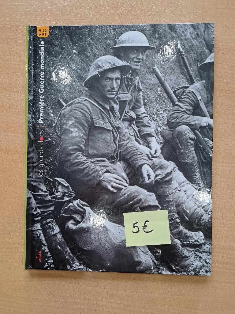 Histoire de la Belgique - Manuel scolaire Eveil, Livres, Enlèvement, Neuf