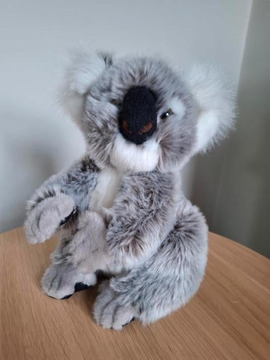 Peluche koala du zoo d'Anvers, zoo de Planckendael, Enlèvement, Comme neuf, Autres types