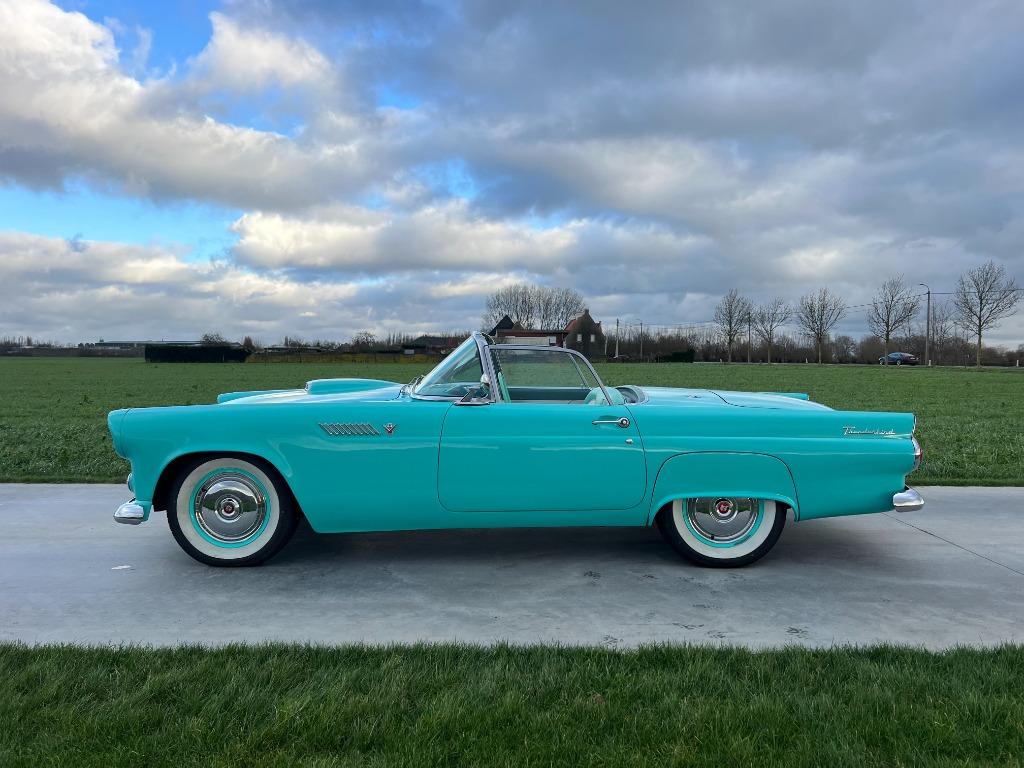 Ford Thunderbird 1955, Autos, Achat, 143 kW, Entreprise, Cabriolet