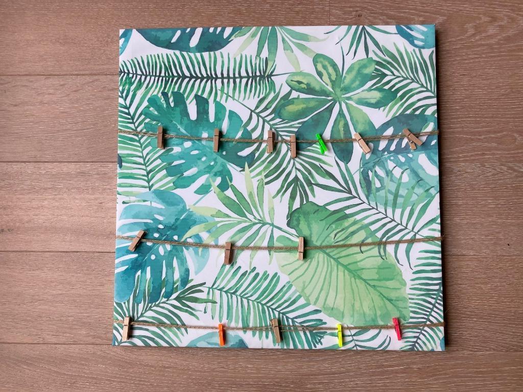 Vierkanten fotokader (50 op 50 cm) motief Jungle, Ophalen of Verzenden, Zo goed als nieuw