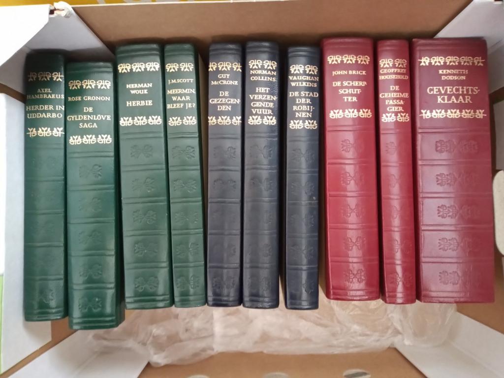Triomf-reeks 10 delen (zie foto's en omschrijving), Boeken, Ophalen of Verzenden, Zo goed als nieuw
