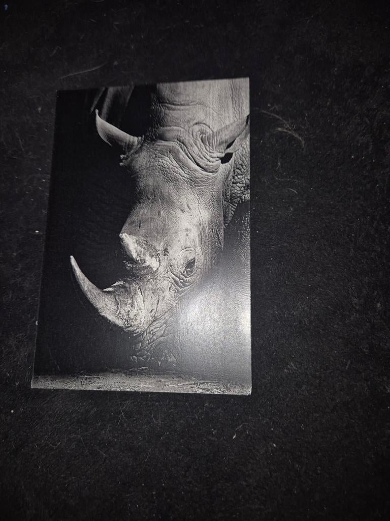 Zwart wit kaart neushoorn, Verzamelen, Verzenden