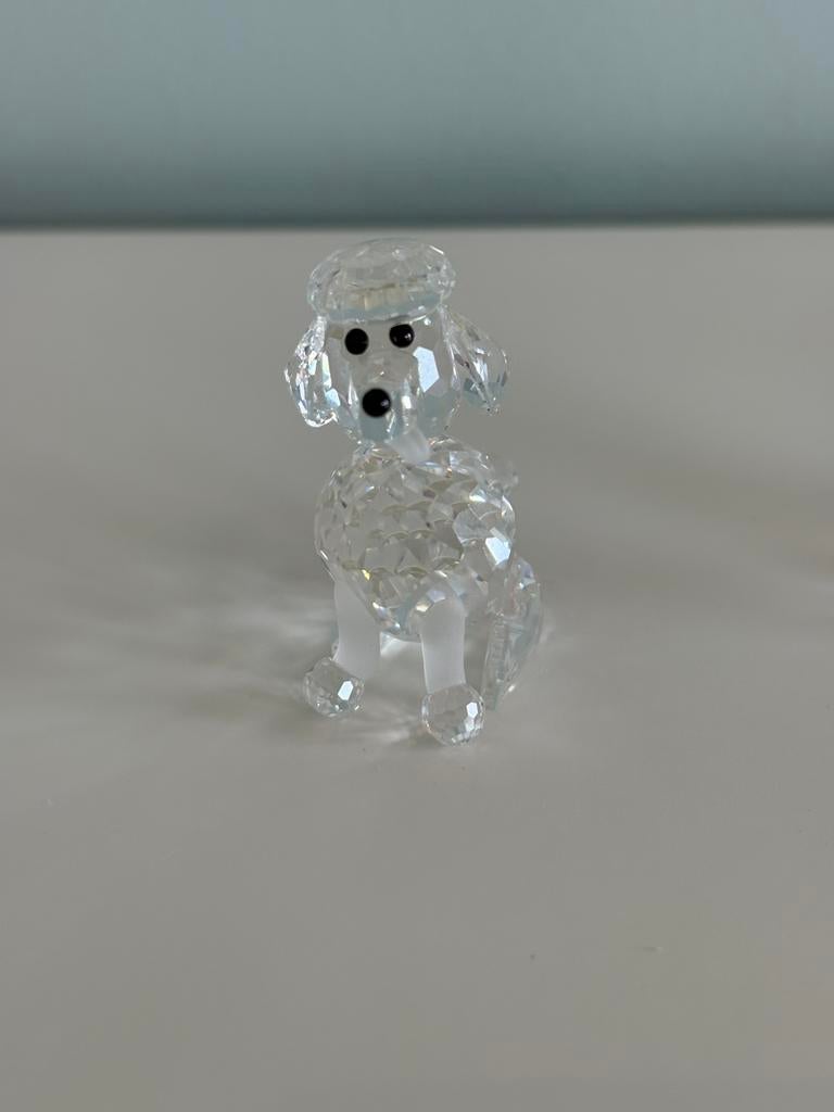 Chien Swarovski, Enlèvement, Comme neuf