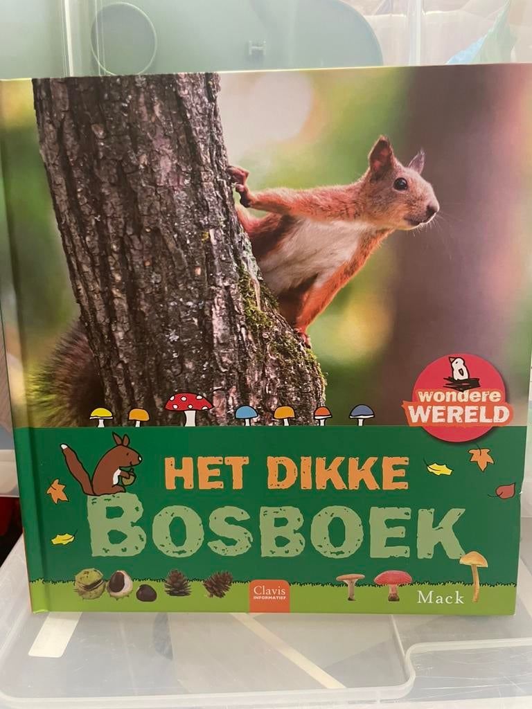 wondere wereld - Clavis uitgeverij, Enlèvement, Comme neuf