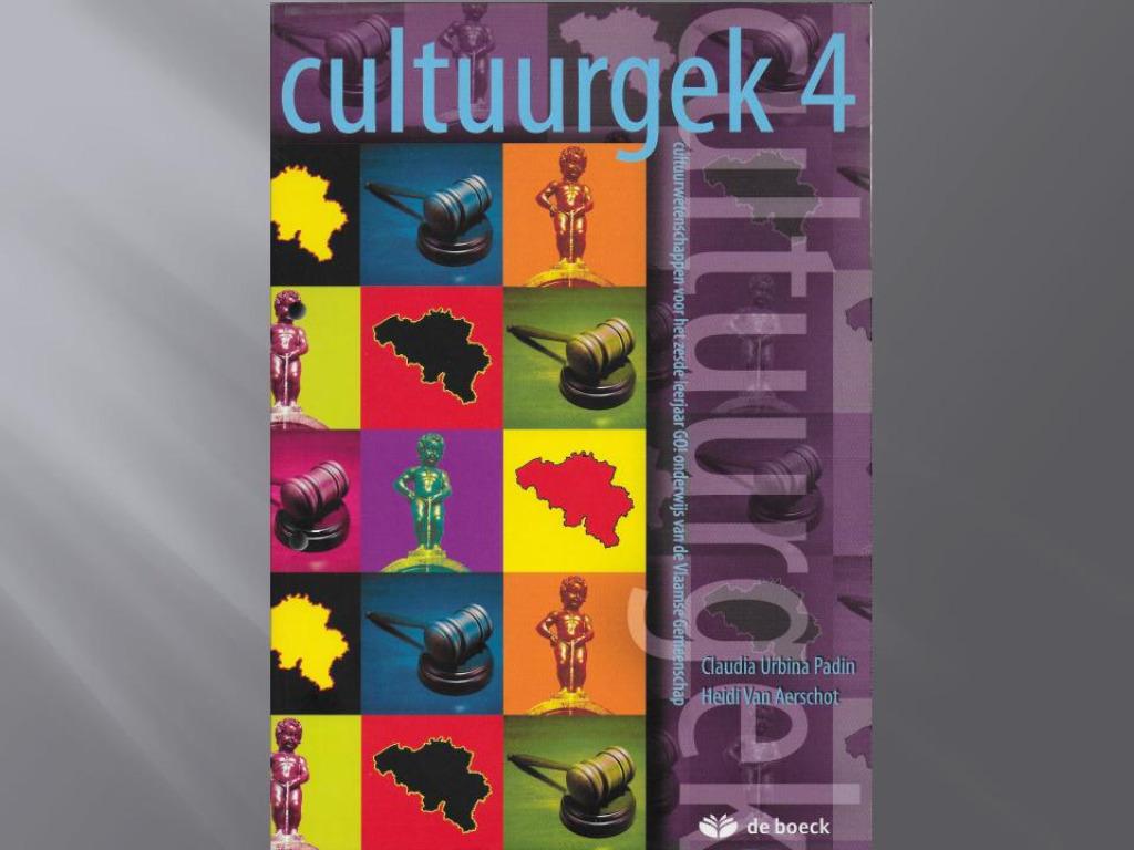 Cultuurgek 4, ASO, Ophalen of Verzenden, Zo goed als nieuw, Maatschappijleer