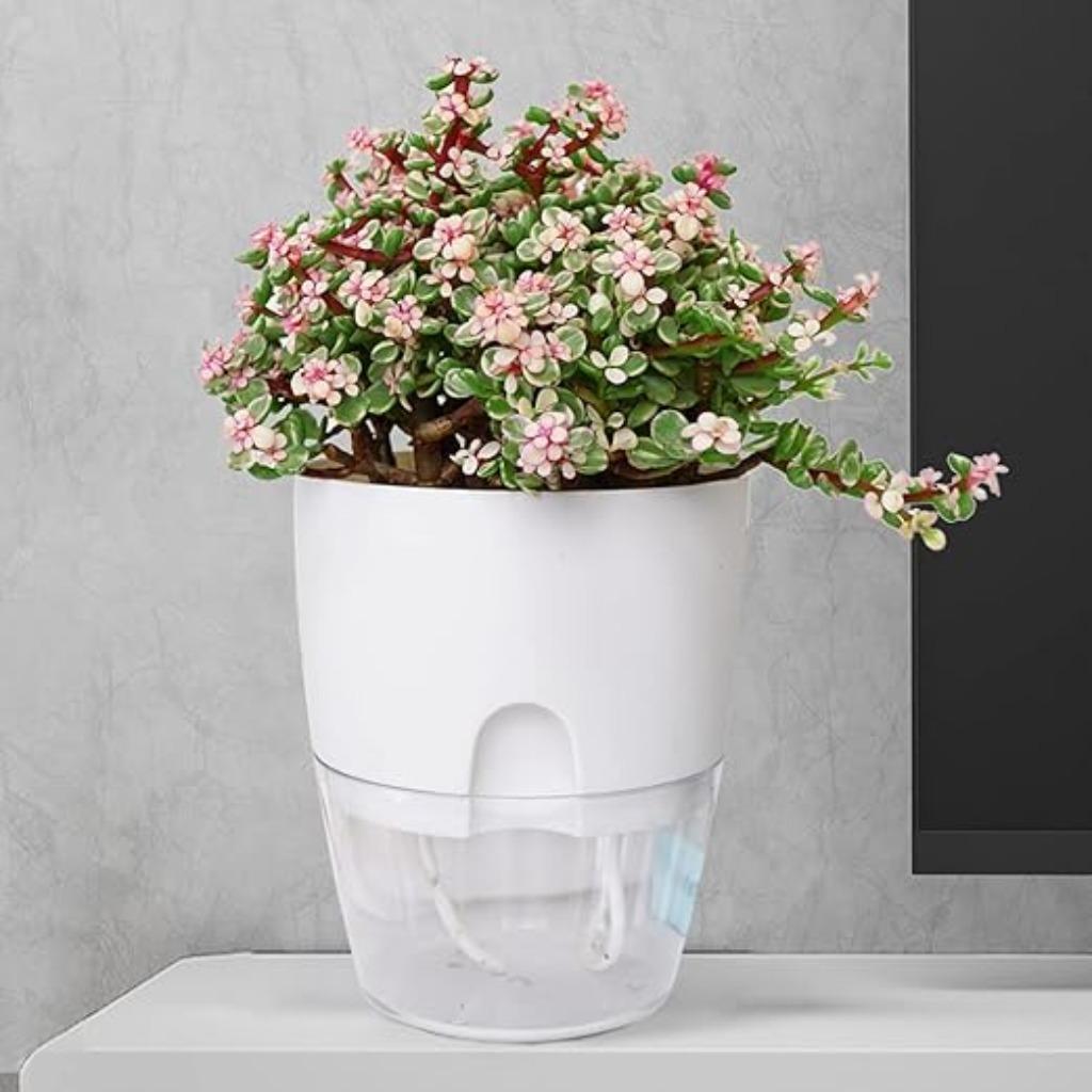 Lot de 3 pots à épices LIVRAISON GRATUITE, Neuf, Moins de 25 cm, Rond, Synthétique
