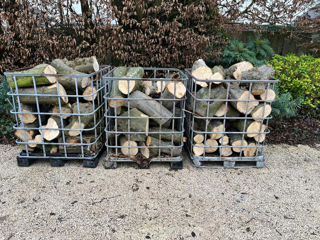 Hout Beuk, 6 m³ of meer, Ophalen, Beukenhout, Blokken