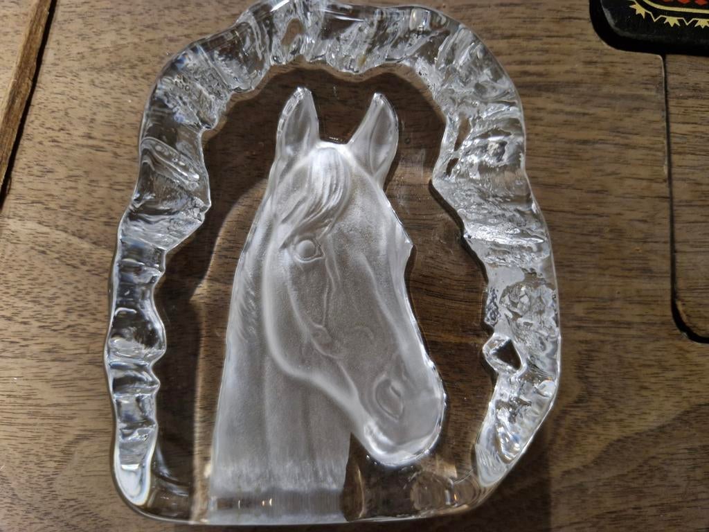Paardenhoofd in glas, Antiek en Kunst, Ophalen