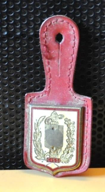 pucelle française ciss Drago incomplète, Collections, Enlèvement ou Envoi, Autres, Emblème ou Badge