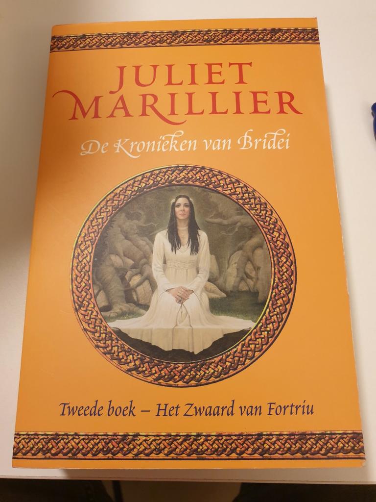 Juliet Marillier - 2 Het zwaard van Fortriu Kronieken Bridei, Boeken, Ophalen of Verzenden, Zo goed als nieuw, Juliet Marillier