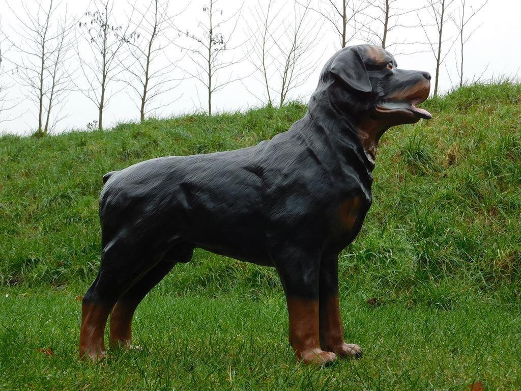 rottweiler , tuinbeeld, Enlèvement ou Envoi, Neuf