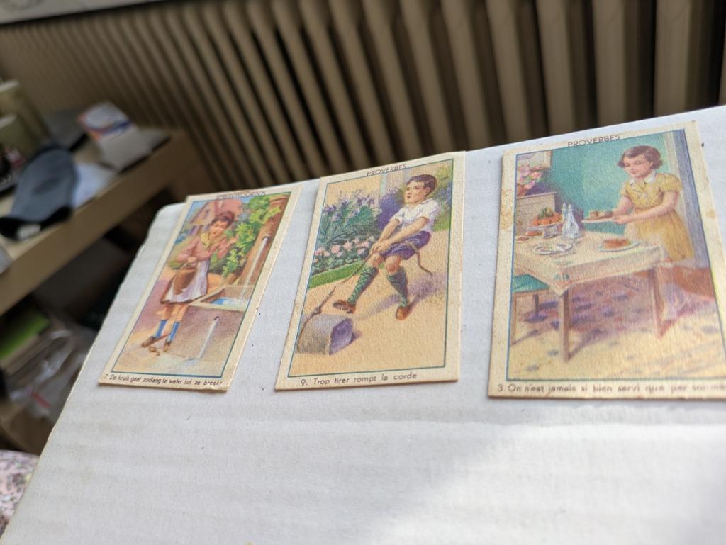 Spreekwoorden - de werkende Bie Poperinghe, Enlèvement ou Envoi, Comme neuf, Photo