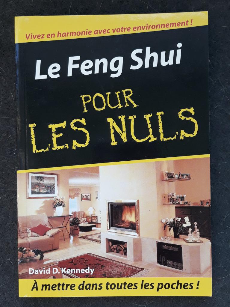 Livre "Le FengShui pour les nuls", Livres, David Daniel Kennedy, Comme neuf, Enlèvement, Autres sujets/thèmes
