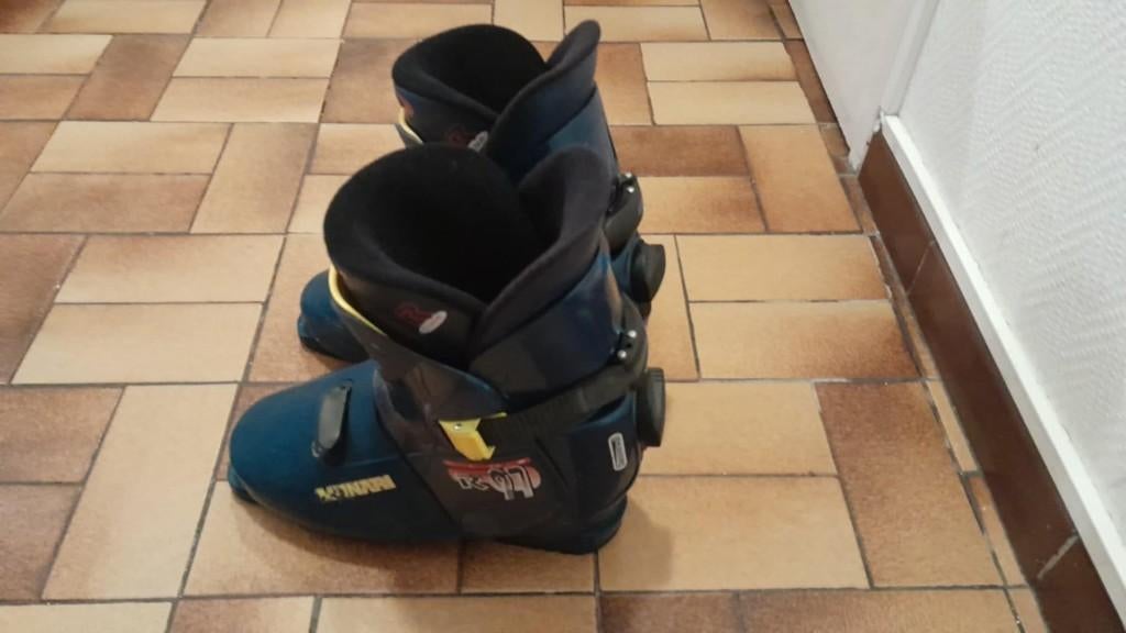 skischoenen, Gebruikt, Schoenen, Ski, Ophalen