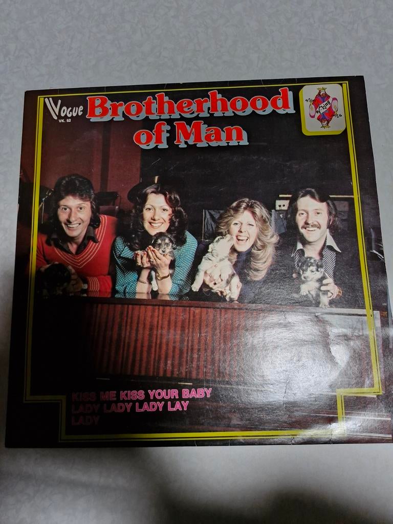 Verschillende vinyl langspeelplaten, Ophalen of Verzenden, Gebruikt