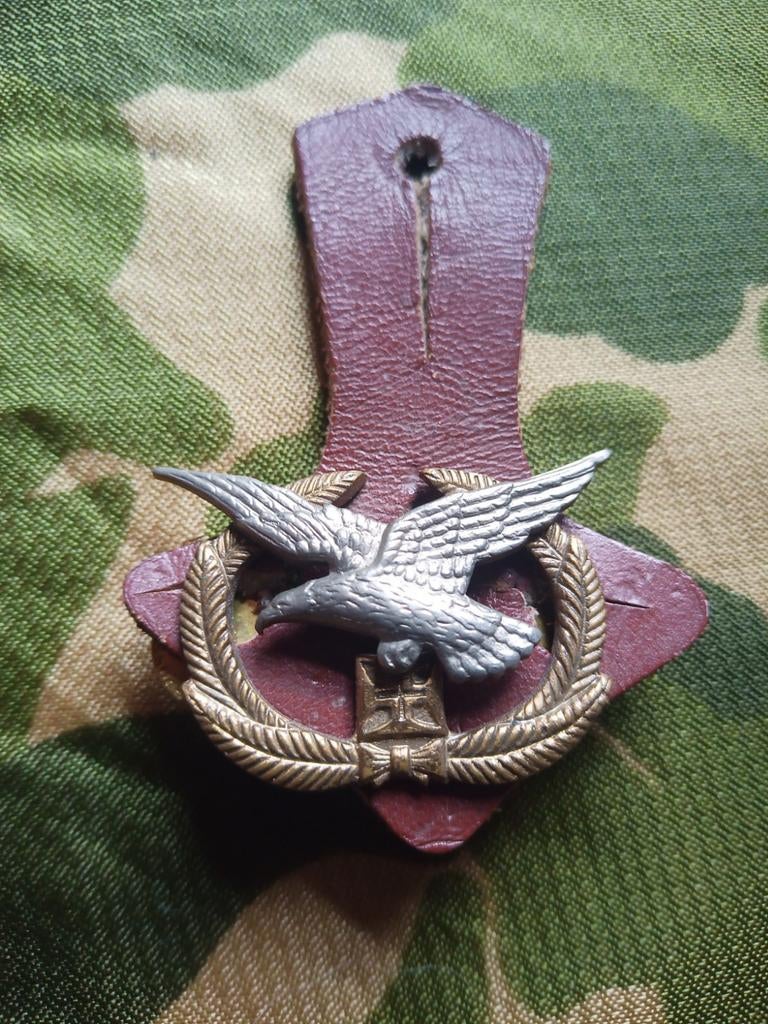 Armée de l'Air portugaise., Collections, Enlèvement ou Envoi, Armée de l'air, Emblème ou Badge