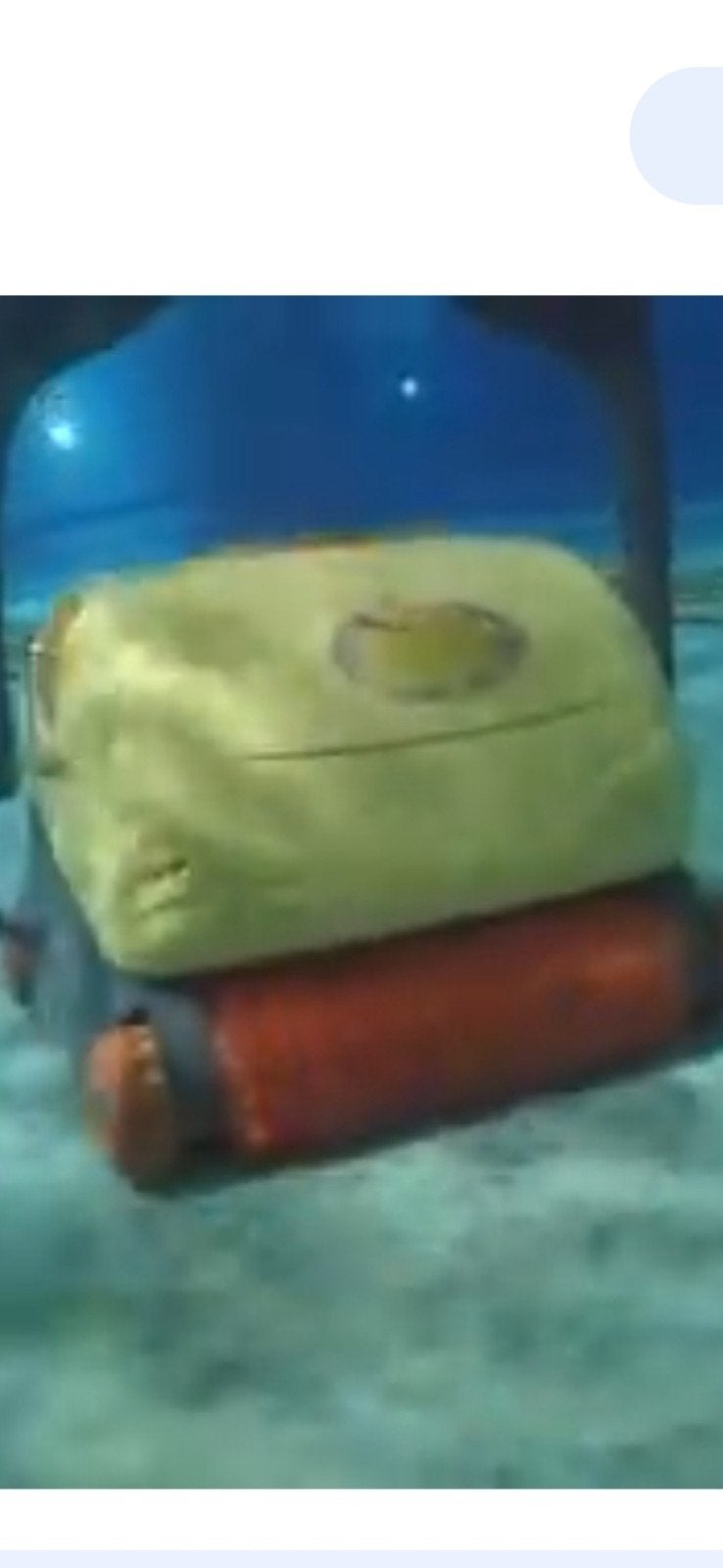 Zwembad robot dolphin., Ophalen