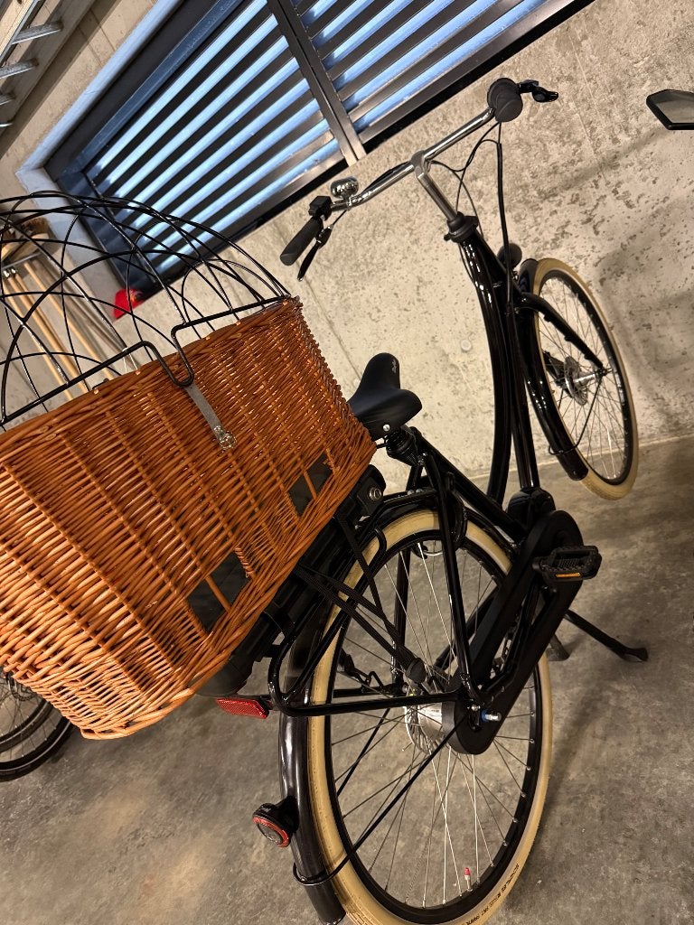 Elektrische damesfiets, Fietsen en Brommers, Ophalen, 47 tot 50 cm, Zo goed als nieuw, Handrem