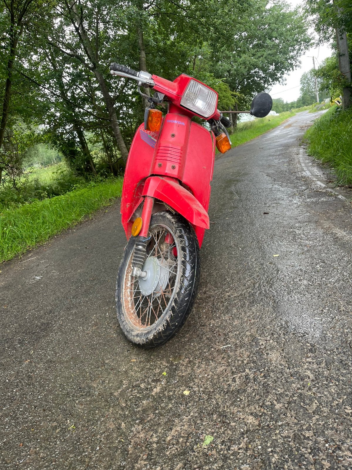 Honda scoopy, Vélos & Vélomoteurs, Cyclomoteurs | Cyclomoteurs de cross, Enlèvement, Utilisé, Honda