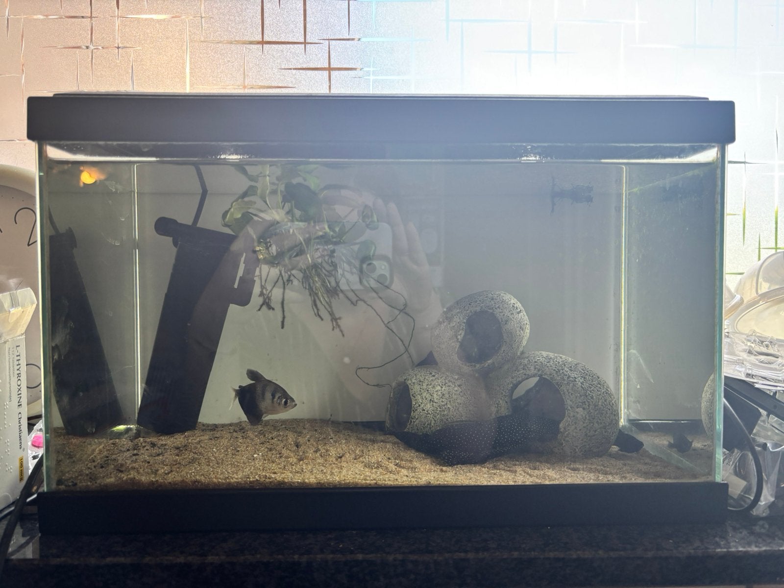 Aquarium klein, Tuin en Terras, Overkappingen, Ophalen, Zo goed als nieuw
