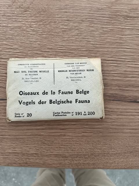 postkaarten vogels der Belgische fauna n 191 a 200, Verzamelen, Postkaarten | Dieren, Ophalen of Verzenden, Ongelopen, Vogel