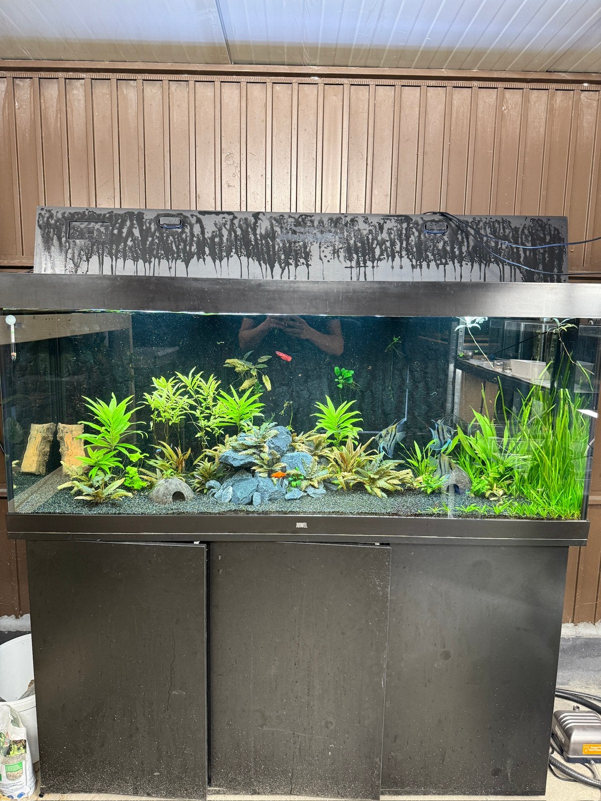 Juwel Rio 450 – compleet aquarium te koop, Ophalen, Verwarming, Zo goed als nieuw, Fluval